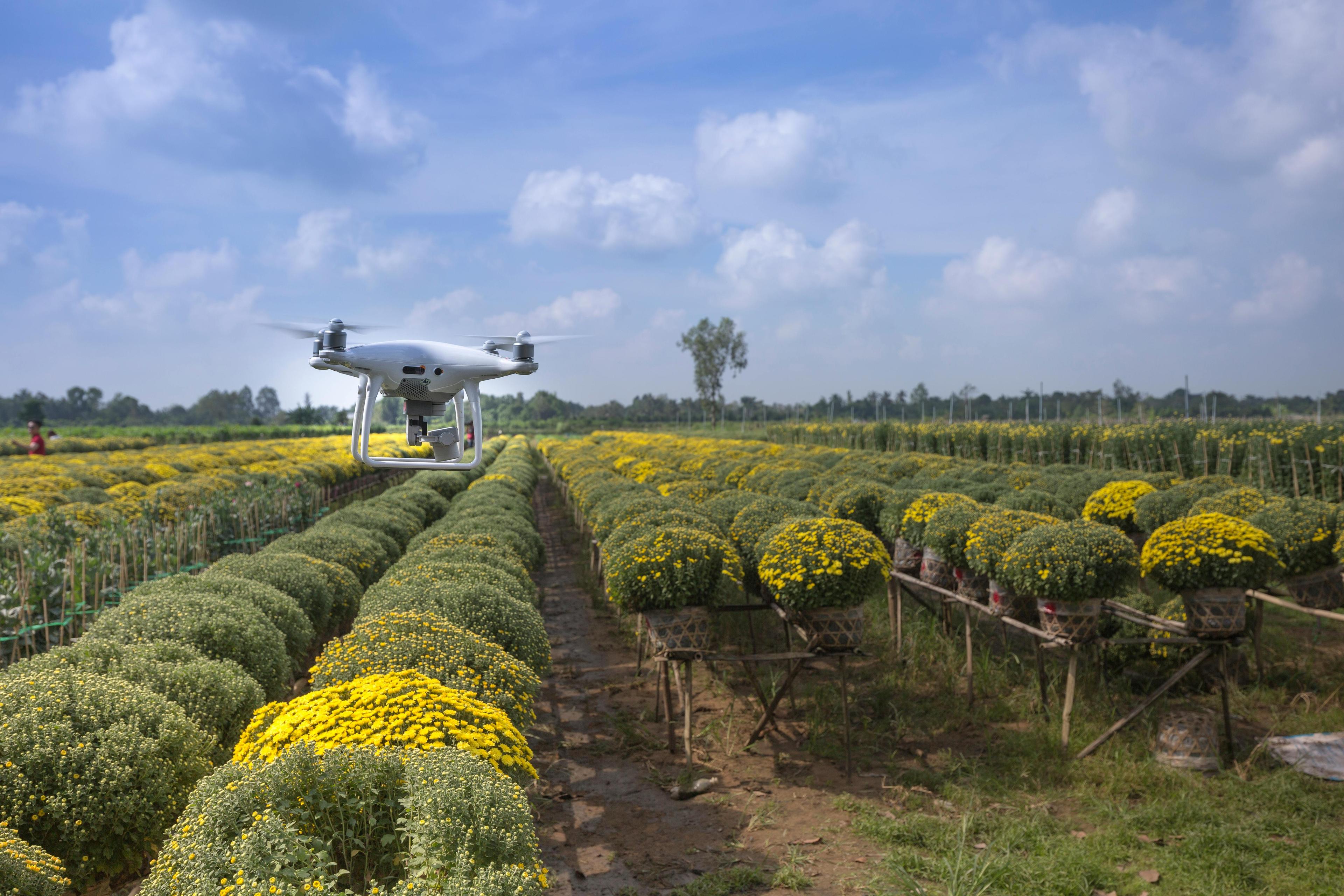 Can Radar Really “See” the Outdoors? Yes—And It’s Changing Everything
