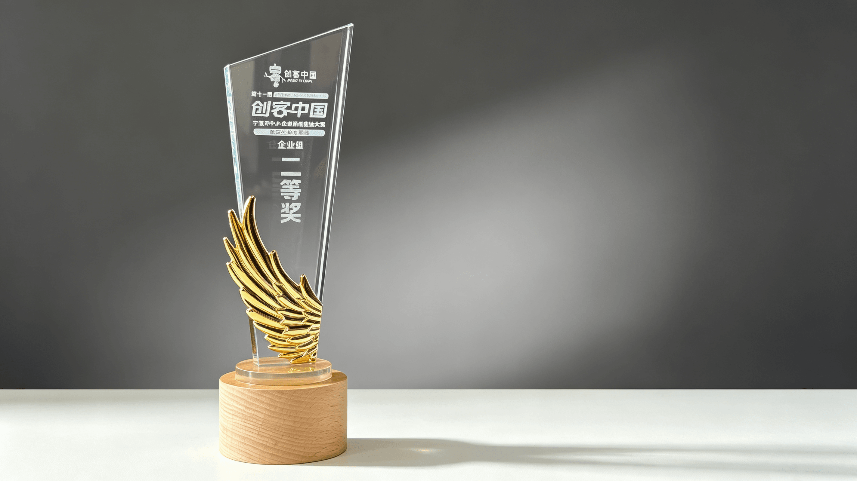 Lingbo Weibu Wins Second Prize in the Low-Altitude Economy Track of the 11th "Maker in China" Ningbo Competition